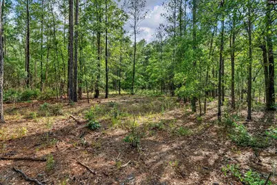 0000 N Brewington Road 10 #10, Manning, SC 29102 - Photo 9