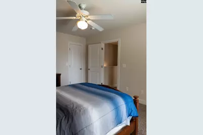 211 Bronze Drive, Lexington, SC 29072 - Photo 49