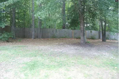 211 Bronze Drive, Lexington, SC 29072 - Photo 43