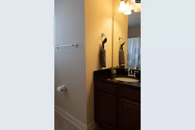 211 Bronze Drive, Lexington, SC 29072 - Photo 47