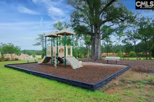 577 Eagles Rest Dr, Chapin, SC 29036 - Photo 33