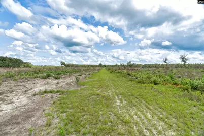 0000 N Brewington Road 2 #2, Manning, SC 29102 - Photo 49