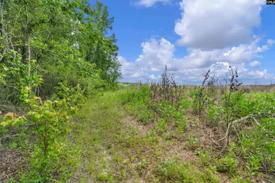 0000 N Brewington Road 2 #2, Manning, SC 29102 - Photo 41