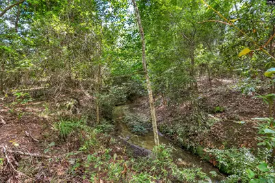 0000 N Brewington Road 2 #2, Manning, SC 29102 - Photo 43