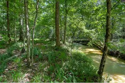 Fulmer Road, Blythewood, SC 29016 - Photo 3