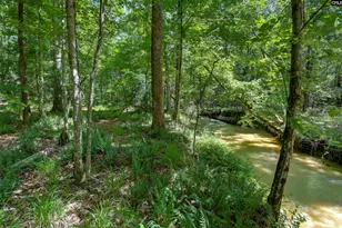 Fulmer Rd, Blythewood, SC 29016 - Photo 3
