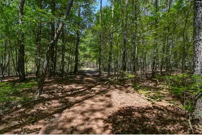 Bright Myers Road, Blythewood, SC 29016 - Photo 3
