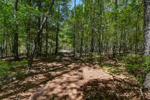Bright Myers Rd, Blythewood, SC 29016 - Photo 3