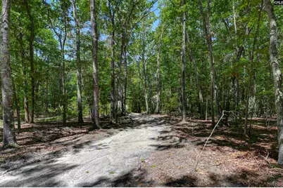 Bright Myers Road, Blythewood, SC 29016 - Photo 5