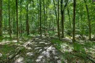 Bright Myers Rd, Blythewood, SC 29016 - Photo 1