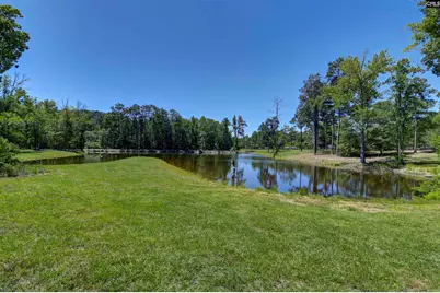 Bright Myers Road, Blythewood, SC 29016 - Photo 7