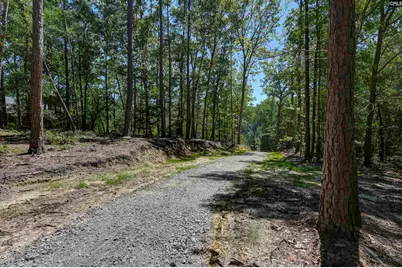 Bright Myers Road, Blythewood, SC 29016 - Photo 9
