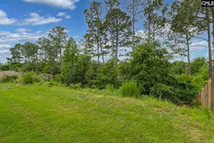 608 Frow Dr, Elgin, SC 29045 - Photo 43