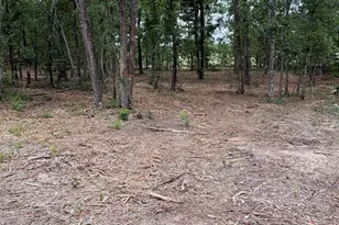 Lot 1 Quattlebaum Dr, Leesville, SC 29070 - Photo 1