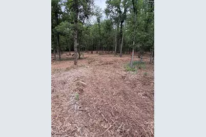 Lot 2 Quattlebaum Drive #Lot 2, Leesville, SC 29072 - Photo 1