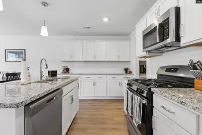 208 Flatsedge Court, Lexington, SC 29072 - Photo 5