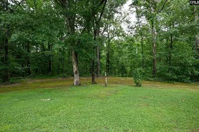 1941 Ray Price Road, Leesville, SC 29070 - Photo 35