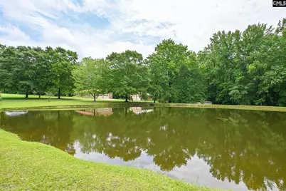 1941 Ray Price Road, Leesville, SC 29070 - Photo 37