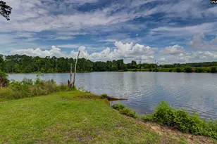 1257 Tailers Trail, Leesville, SC 29070 - Photo 15
