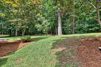 313 Serenity Court, Lexington, SC 29072 - Photo 11