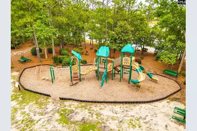 121 Hemphill Road, Lexington, SC 29072 - Photo 53