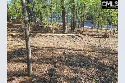 512 Links Pointe Court, Chapin, SC 29036 - Photo 3
