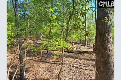512 Links Pointe Court, Chapin, SC 29036 - Photo 7