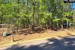 512 Links Pointe Ct, Chapin, SC 29036 - Photo 1