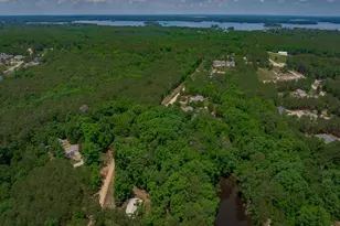 841 Foxden Rd, Gilbert, SC 29054 - Photo 51
