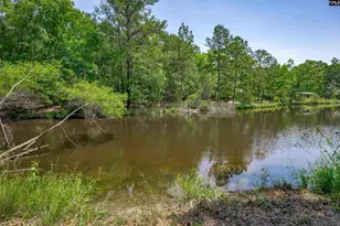 841 Foxden Rd, Gilbert, SC 29054 - Photo 43