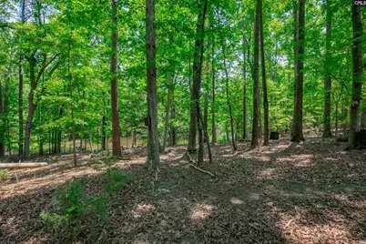 841 Foxden Road, Gilbert, SC 29054 - Photo 41