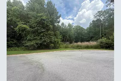 243 Fair Ridge Lane, Blythewood, SC 29016 - Photo 3