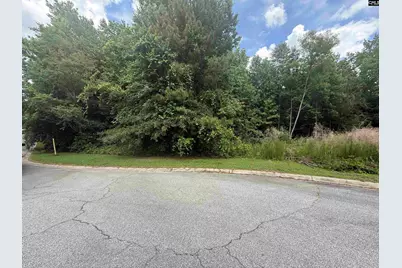 239 Fair Ridge Lane, Blythewood, SC 29016 - Photo 1