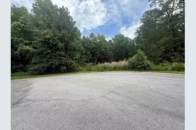 239 Fair Ridge Lane, Blythewood, SC 29016 - Photo 3