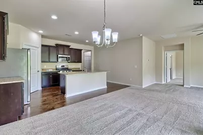 169 Crimson Queen Drive, Blythewood, SC 29016 - Photo 19