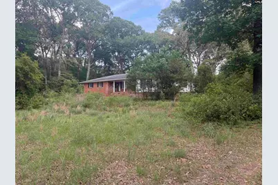 60 Savannah Road, Bishopville, SC 29010 - Photo 3