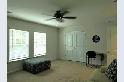 343 Limestone Road, Chapin, SC 29036 - Photo 23