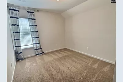 343 Limestone Road, Chapin, SC 29036 - Photo 21