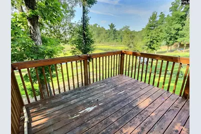 343 Limestone Road, Chapin, SC 29036 - Photo 27