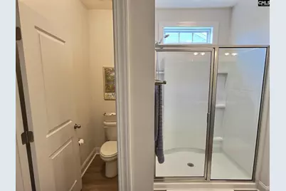 343 Limestone Road, Chapin, SC 29036 - Photo 13
