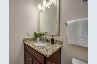 354 Montrose Drive, Lexington, SC 29072 - Photo 45