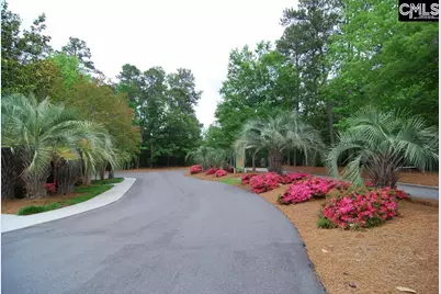 203 Frasier Bay Road, Columbia, SC 29229 - Photo 39