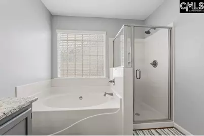 224 Ivy Hill Court, Lexington, SC 29072 - Photo 11