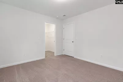 822 Ruskin Drive, Chapin, SC 29036 - Photo 19