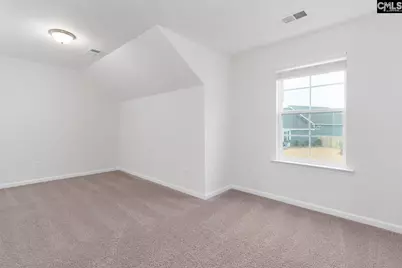822 Ruskin Drive, Chapin, SC 29036 - Photo 21
