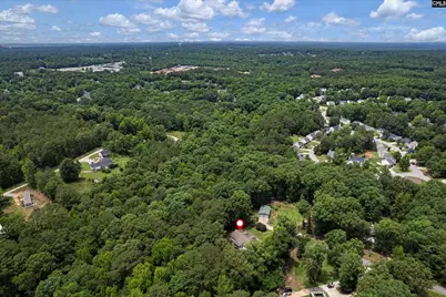 309 Whispering Meadow Lane, Irmo, SC 29063 - Photo 39