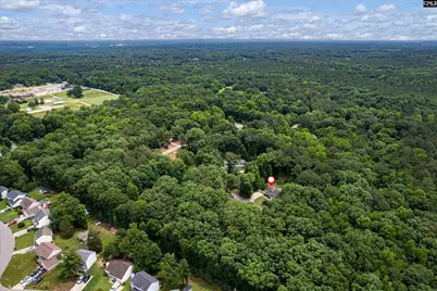 309 Whispering Meadow Lane, Irmo, SC 29063 - Photo 41