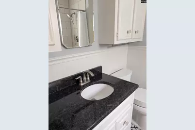 1136 Eastminster Drive, Columbia, SC 29204 - Photo 21