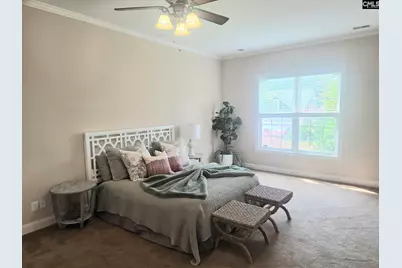 216 Pointe Overlook Drive, Chapin, SC 29036 - Photo 13