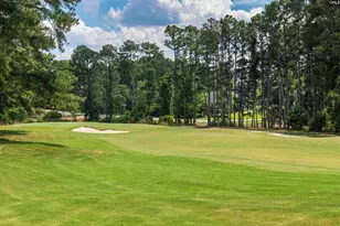 216 Pointe Overlook Dr, Chapin, SC 29036 - Photo 53